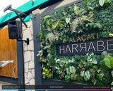 Bar Ses Sistemi - Alaçatı Harabe