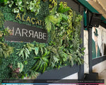 Bar Ses Sistemi - Alaçatı Harabe